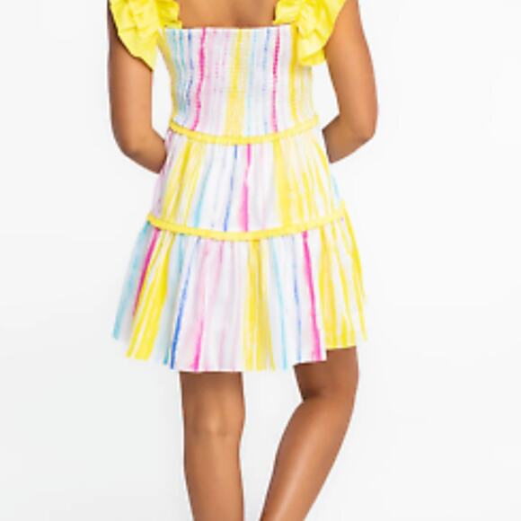 NWT Alden Adair Amora Dress in Caribbean Stripe size Large - Picture 2 of 7